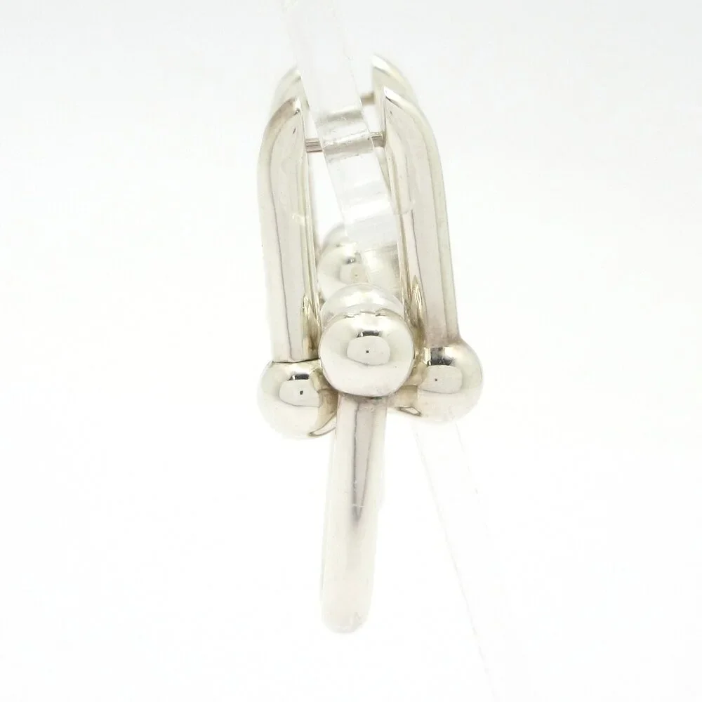 Tiffany & Co. Hardware Large Link Earrings